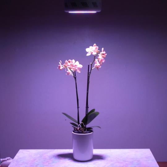 Led Akvaariovalaisin Miniufo 50W makeavesi